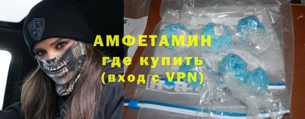 индика Алексин