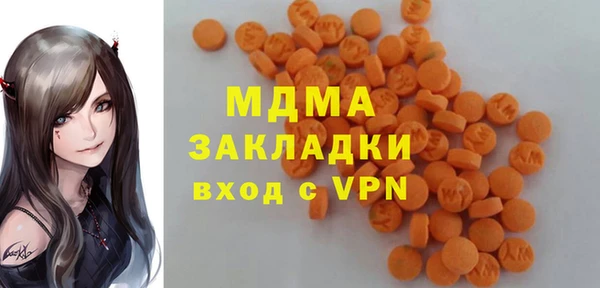 индика Алексин
