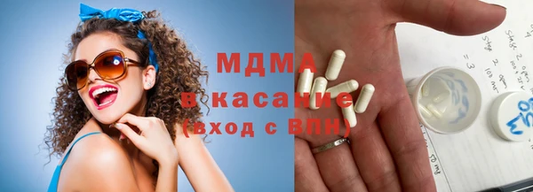 индика Алексин