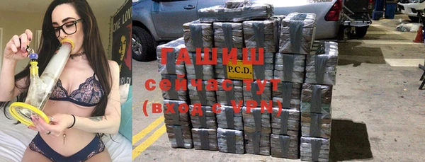 индика Алексин