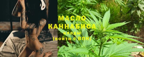 винт Ельня