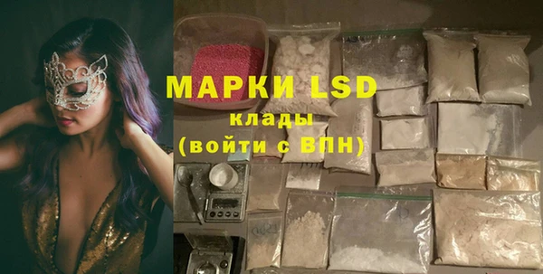 индика Алексин