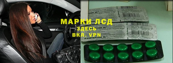 индика Алексин