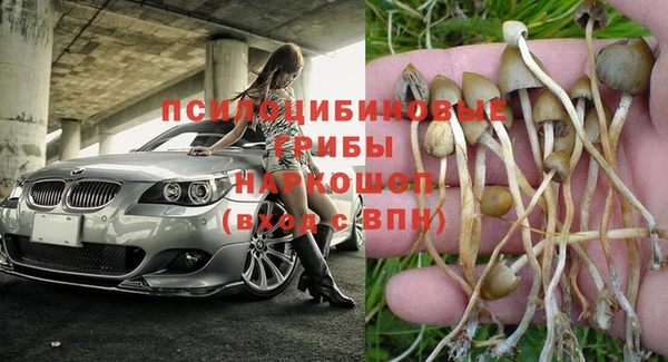 индика Алексин