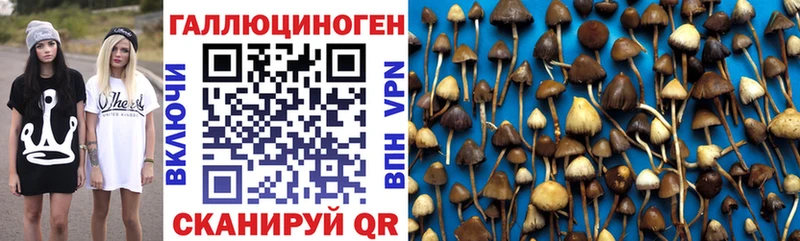 Псилоцибиновые грибы ЛСД  Славск 